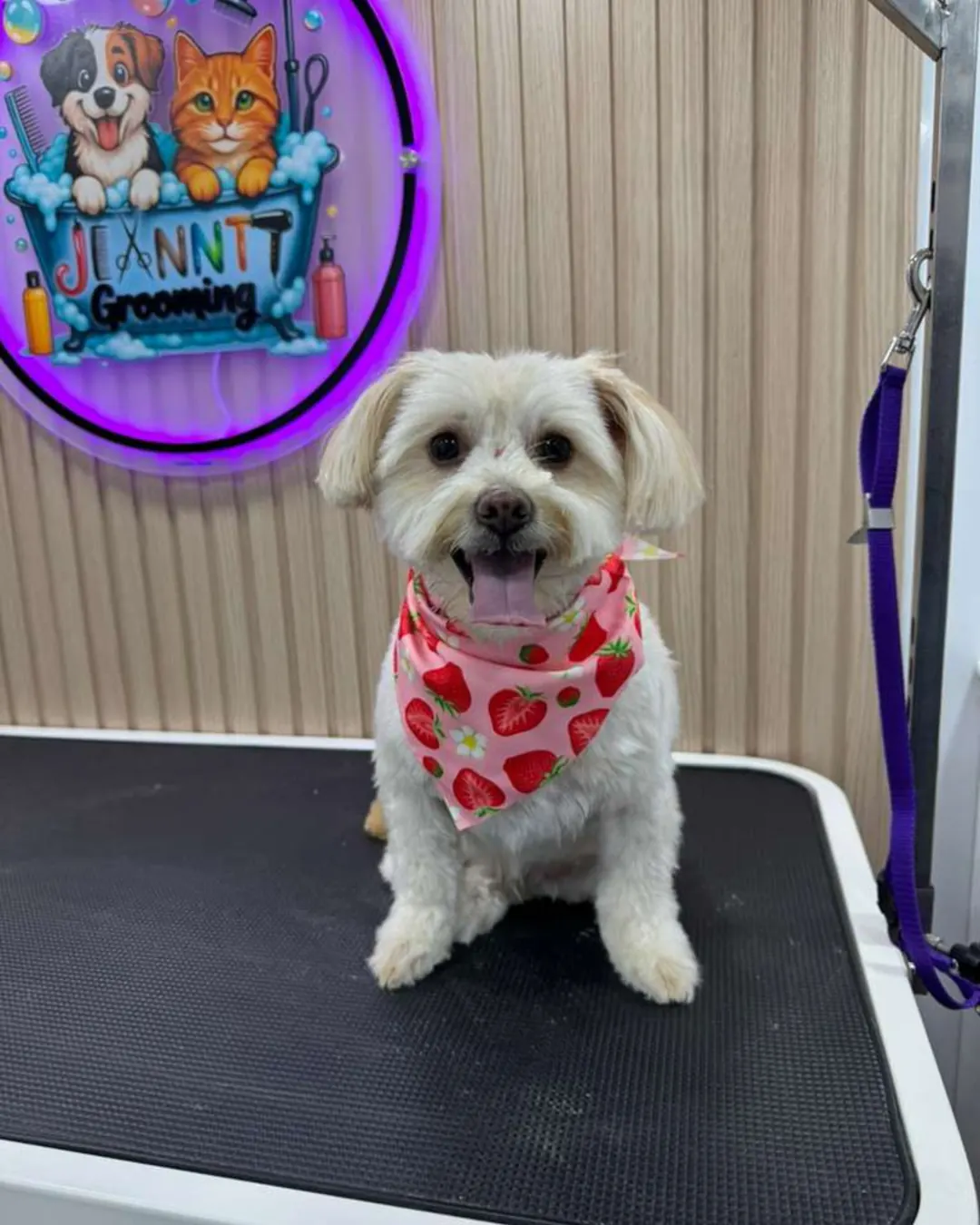 After Jeanntt grooming