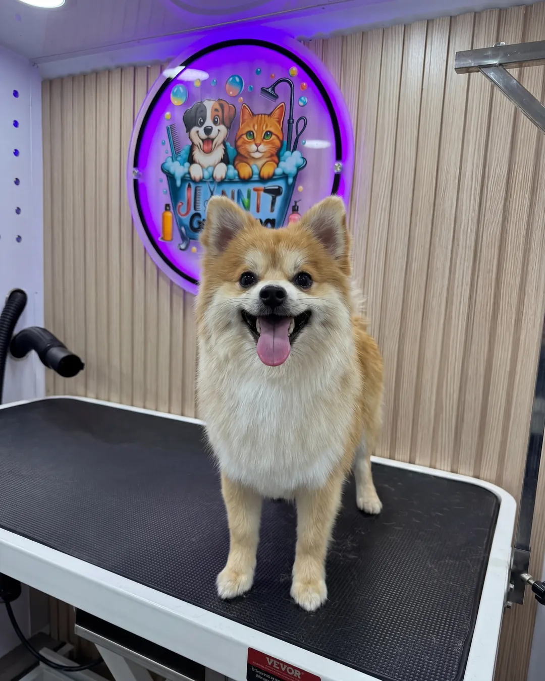 After Jeanntt grooming