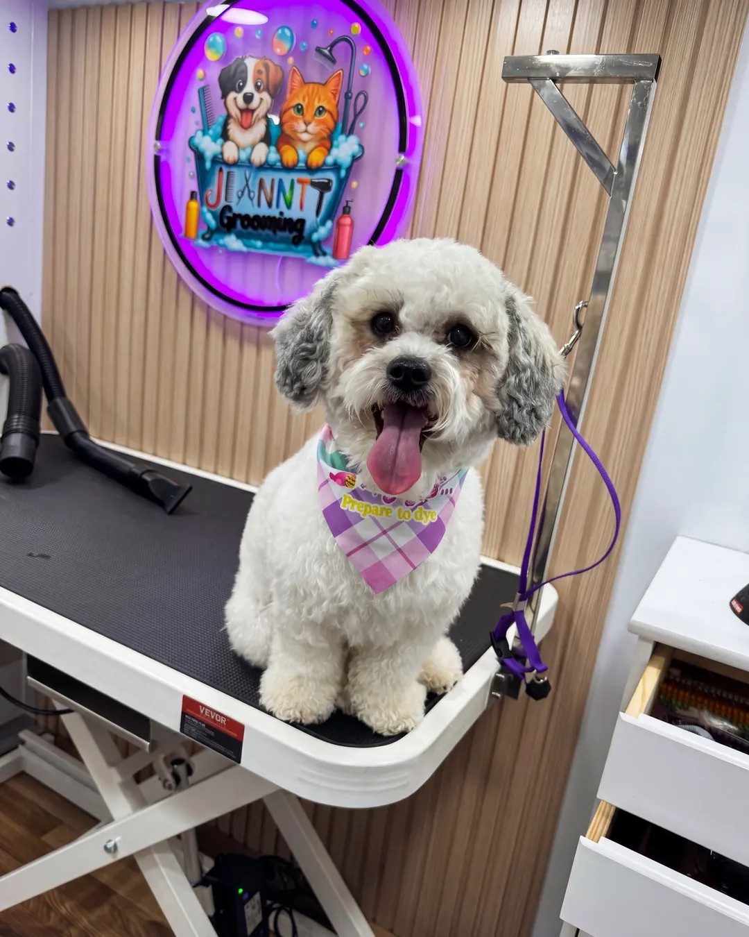 After Jeanntt grooming