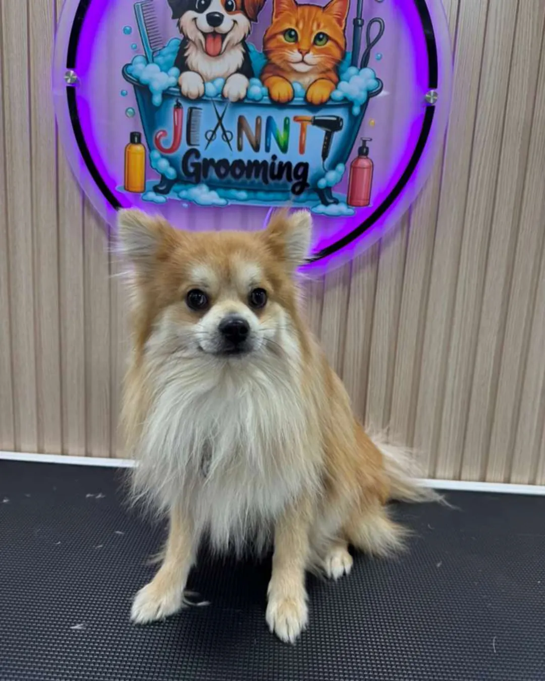 Before Jeanntt grooming